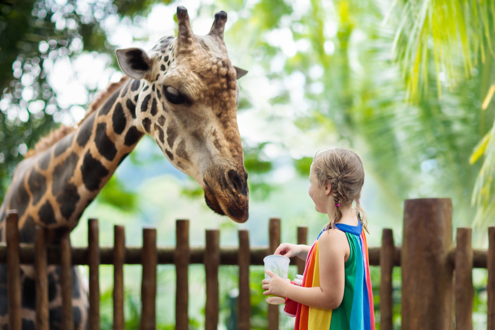Visitar el zoo de Santo Domingo, una excursión imprescindible