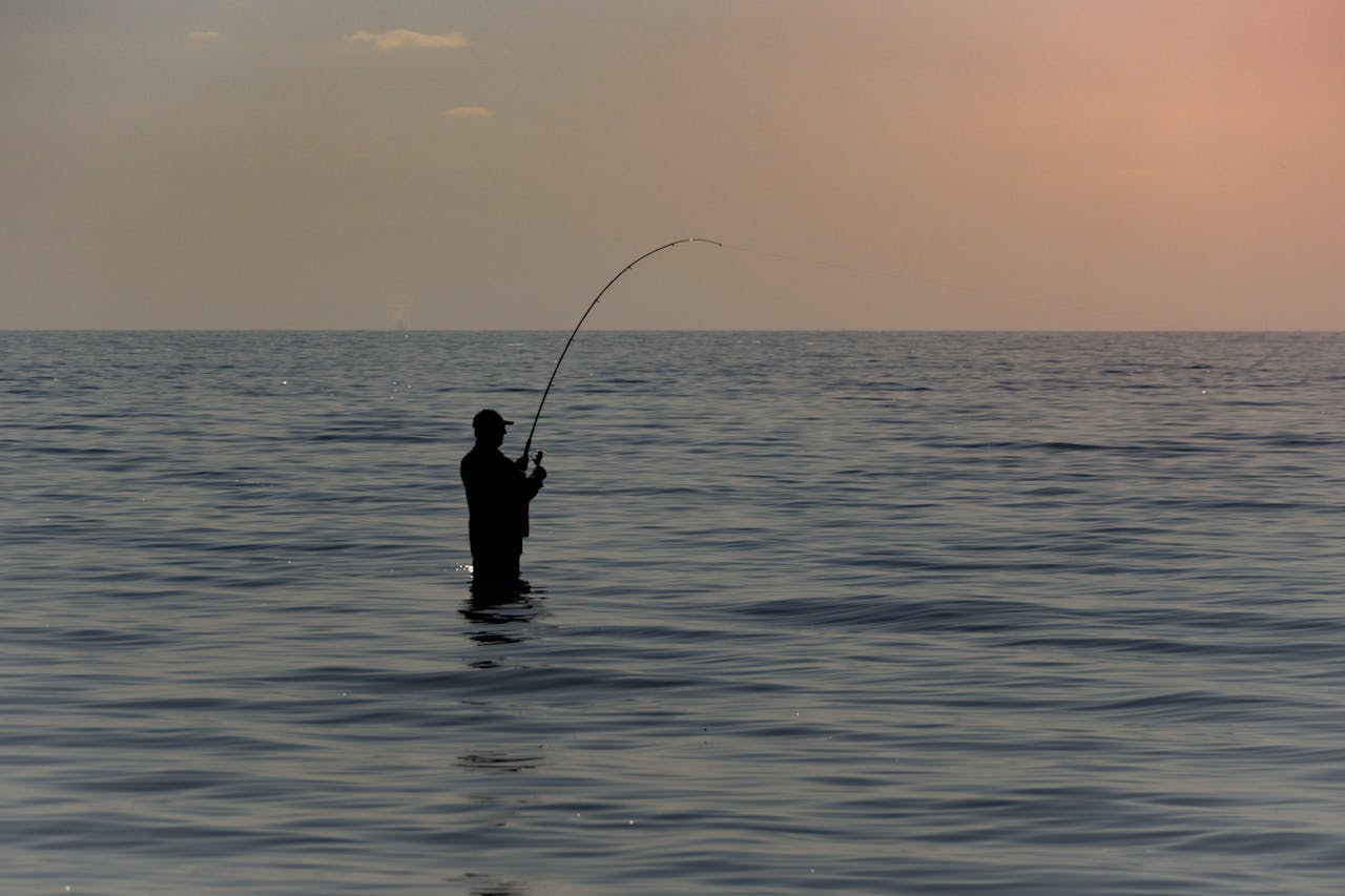 Pesca deportiva en Punta Cana: Los mejores tours y temporadas